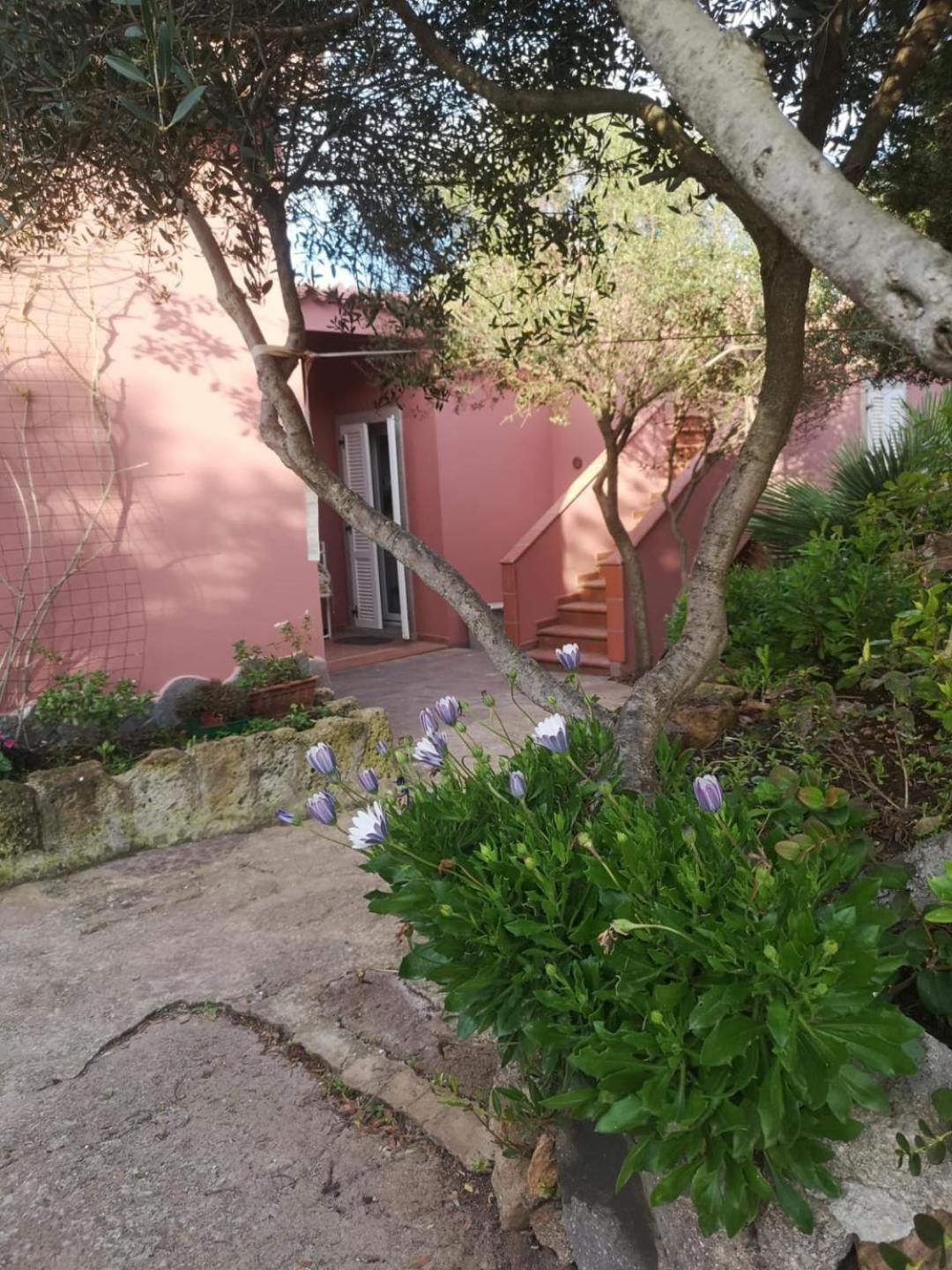 B&B Domus Oriens - Monolocale Indipendente In Villa Portoscuso Eksteriør billede