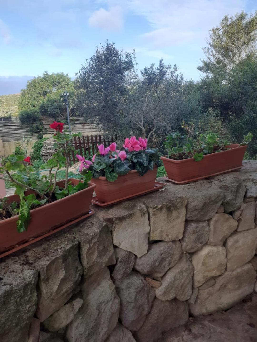 B&B Domus Oriens - Monolocale Indipendente In Villa Portoscuso Eksteriør billede
