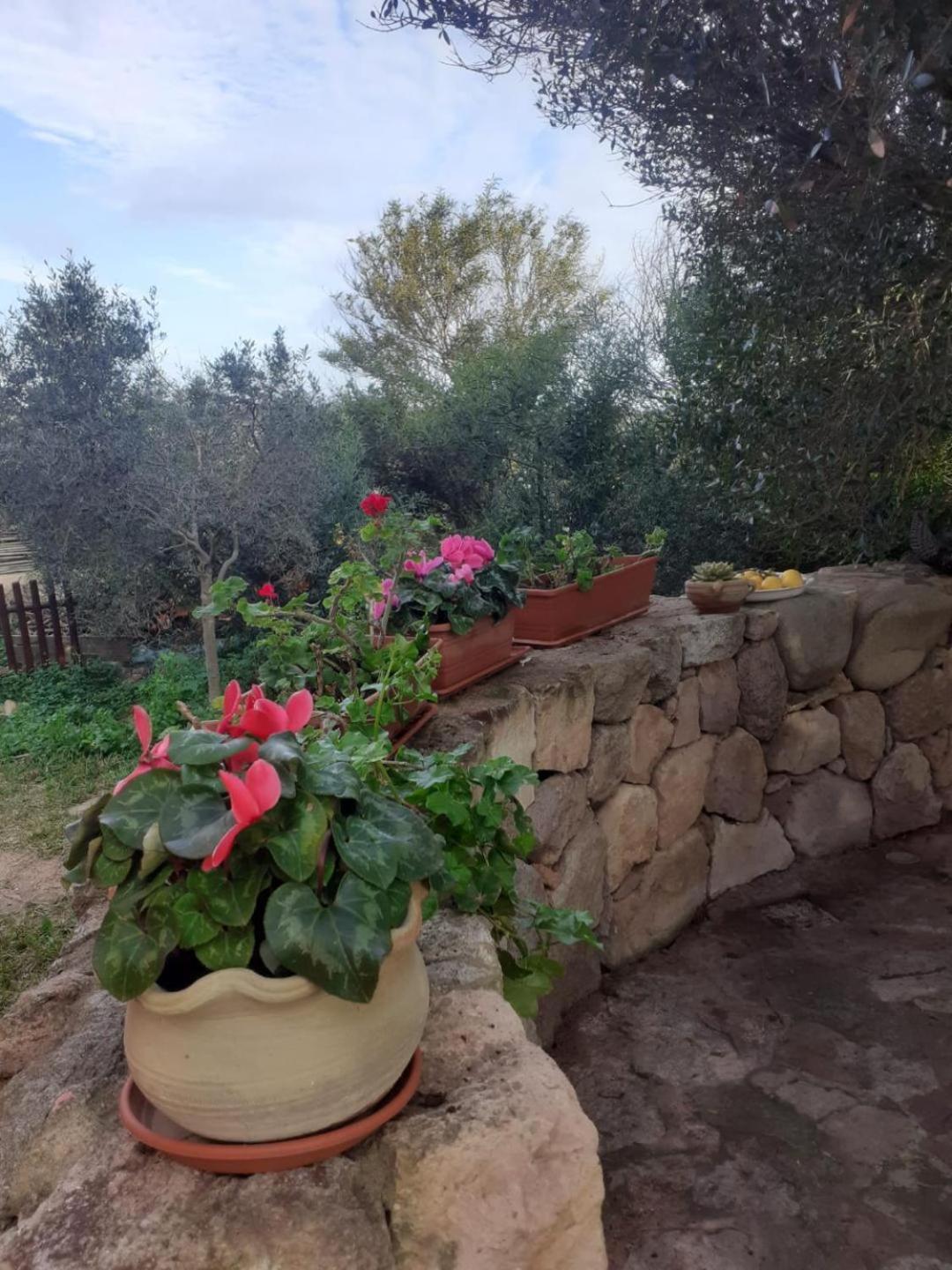 B&B Domus Oriens - Monolocale Indipendente In Villa Portoscuso Eksteriør billede